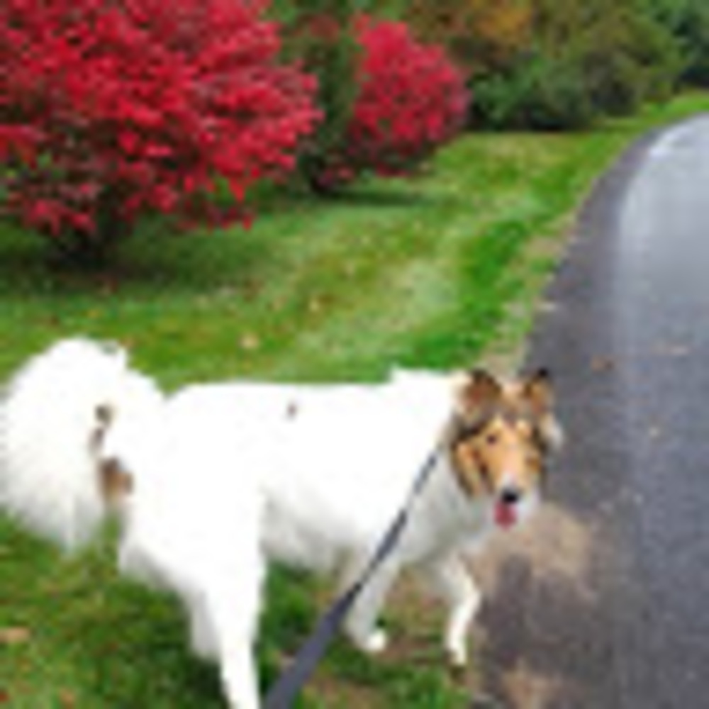 Meet your Posher, Silvana